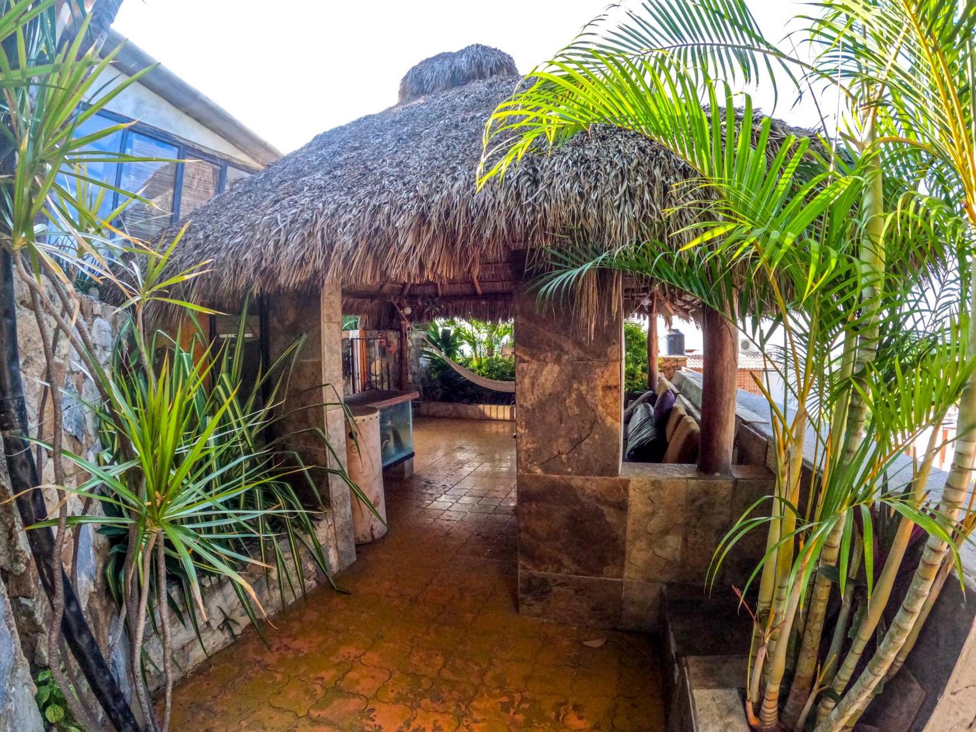 Bed and Breakfast Casa Artista Manzanillo Zewnętrze zdjęcie
